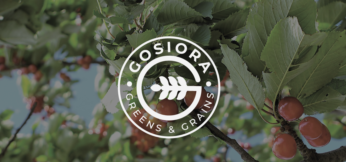Gosiora Greens N Grains