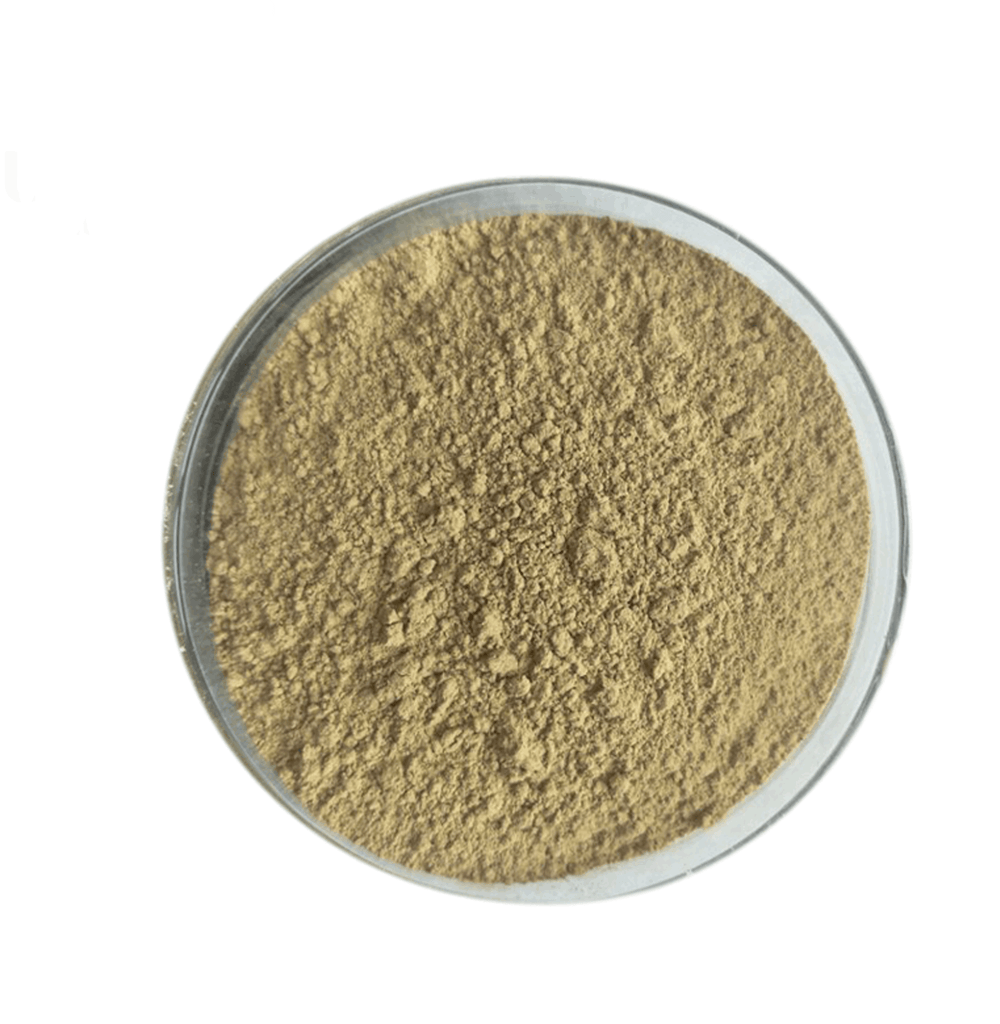 Bitter Kola (Garcinia Kola) Powder - 100g