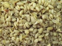 Dried Ukwa  Seeds - 17.6oz / 500g