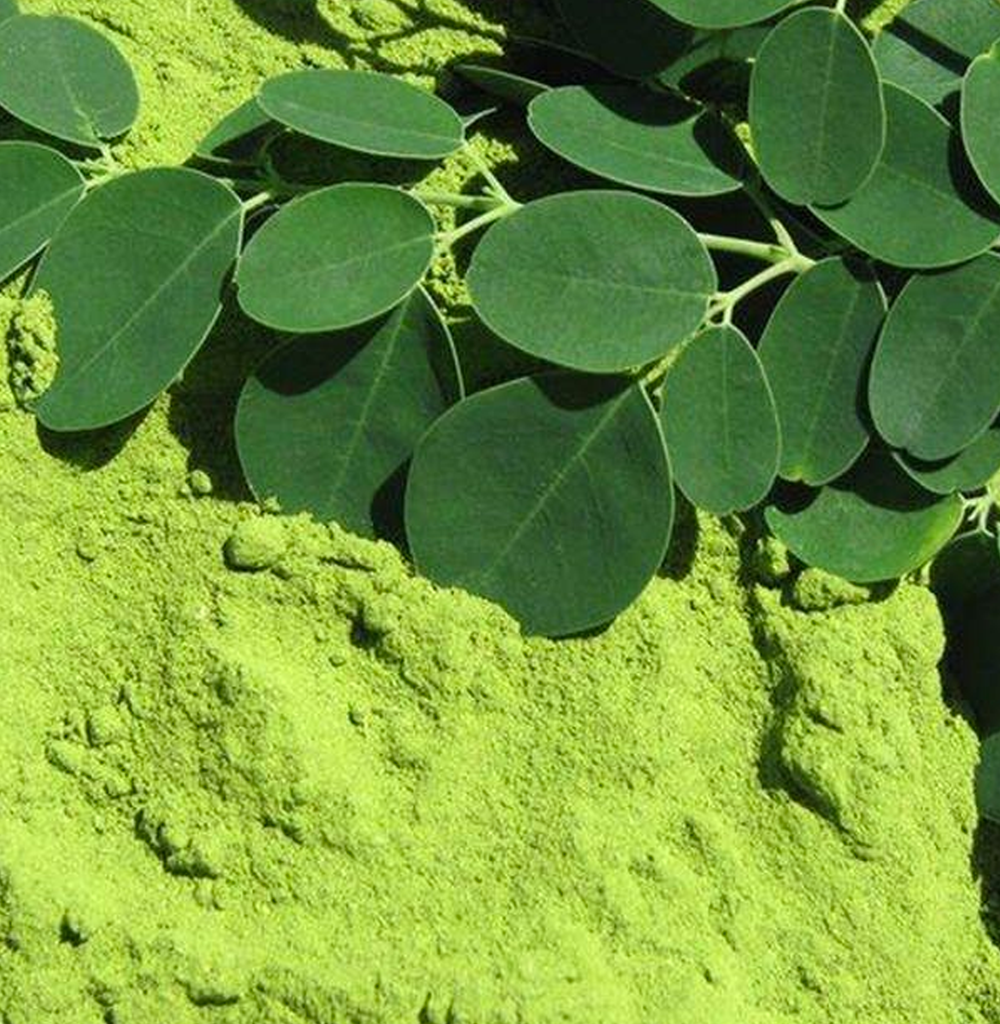 Moringa leaf powder / 200g
