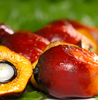 Red Palm Oil - 1000mls